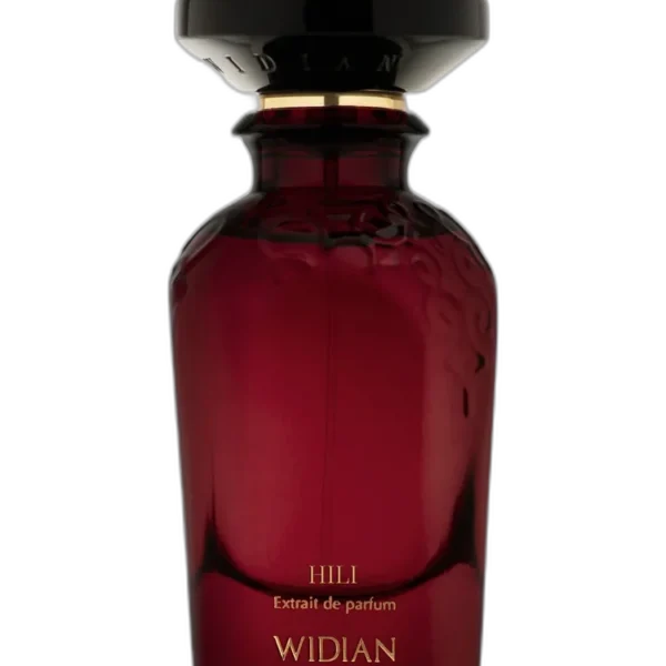 Widian Aswan Perfume by Widian for unisex UAE