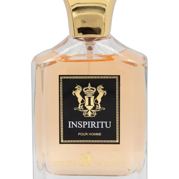 Inspiritu Pour Homme for men Perfume