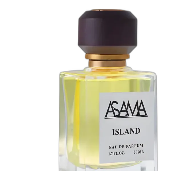 Waves unisex Perfume by ASAMA Perfumes for unisex UAE