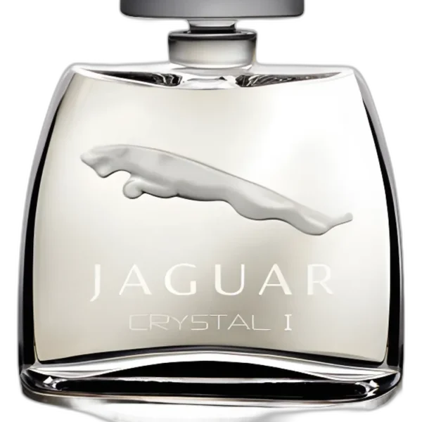Jaguar For Men Perfume by Jaguar UAE