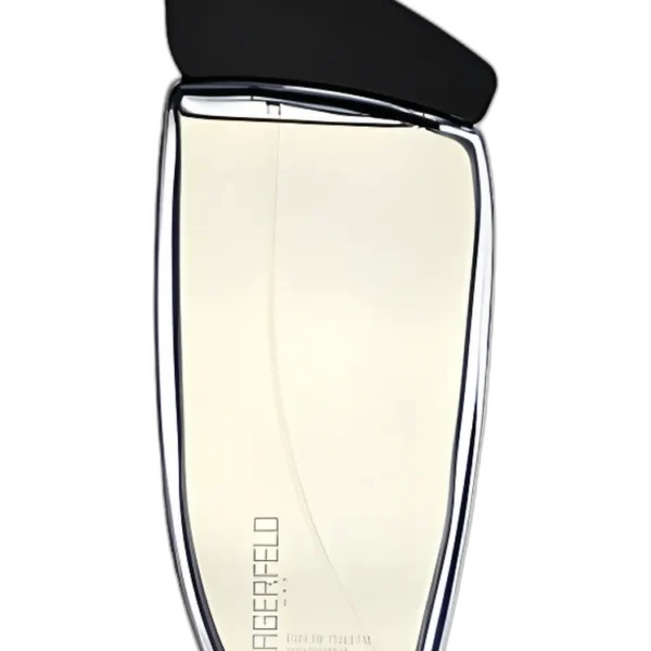 Apparition Homme for men Perfume by Emanuel Ungaro for male UAE