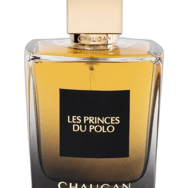 Mysterieuse Perfume by Chaugan for Unisex UAE