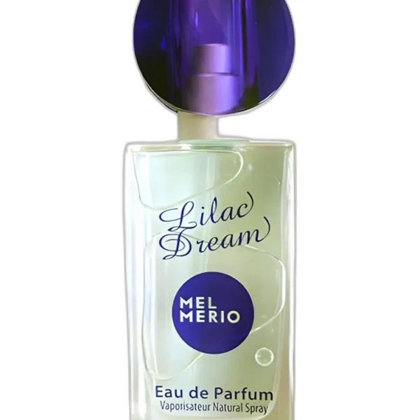 True Diamond for women Perfume by Mel Merio for female UAE