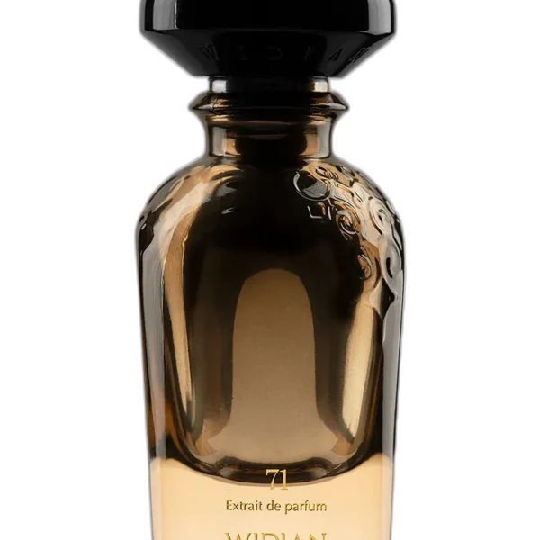Widian Aswan Perfume by Widian for unisex UAE