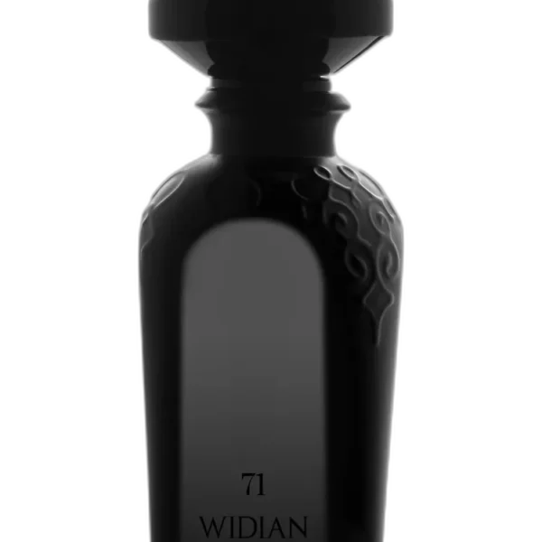 Widian Aswan Perfume by Widian for unisex UAE