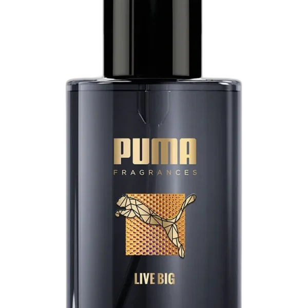 Jamaica 2 Woman for women Perfume by Puma for female UAE