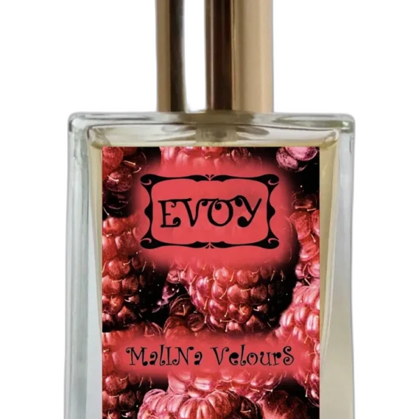 Open Mind unisex Perfume by EVOY for unisex UAE