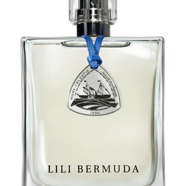 Navy for men Perfume by Lili Bermuda for male UAE