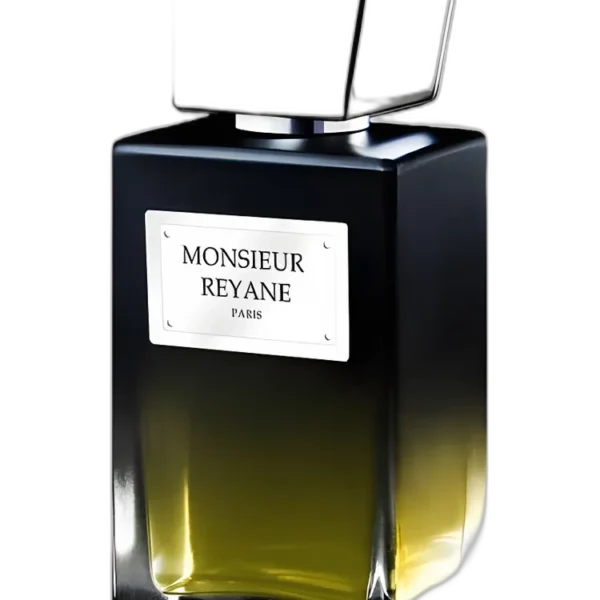 Monsieur Reyane Black for men Perfume