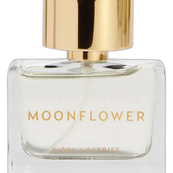 Faluröd Bjork and Berries Perfume by Bjork And Berries for Unisex UAE