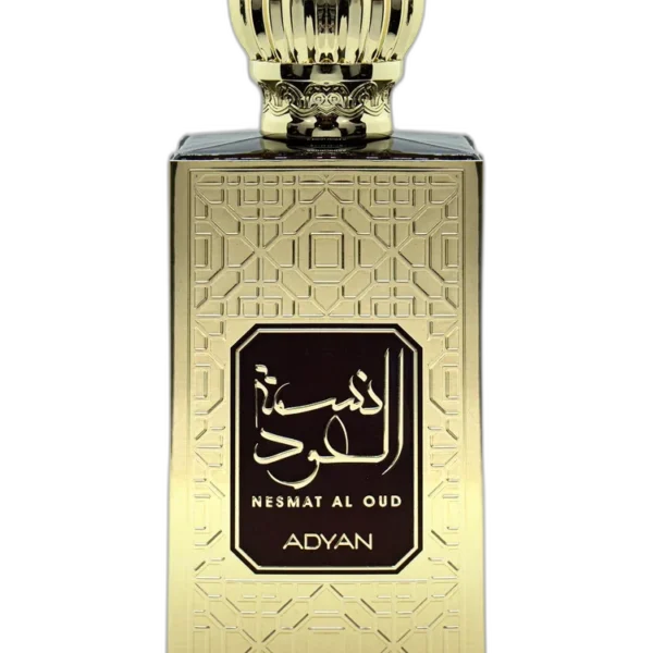 Bara Adyan for men Perfume by Adyan by Anfar for male UAE