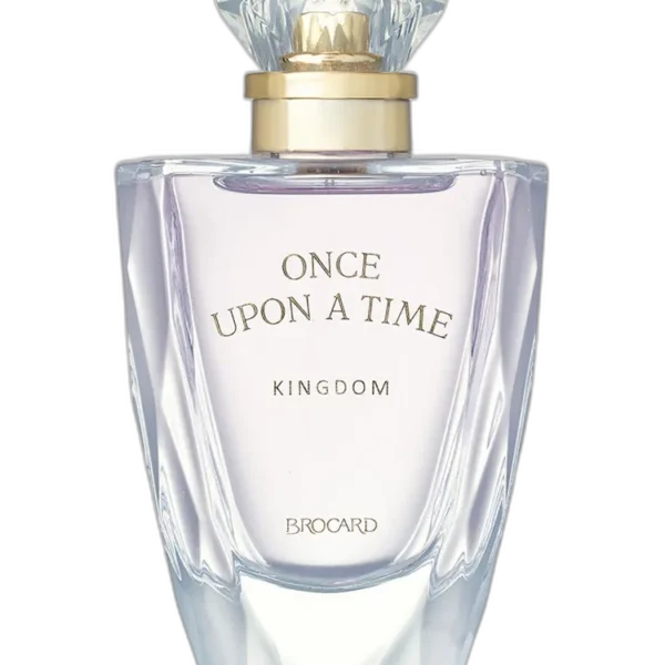 Perpetuum for men Perfume by Brocard for female UAE
