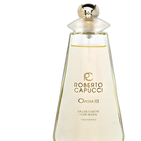 Corps Fou for men Perfume by Roberto Capucci for male UAE