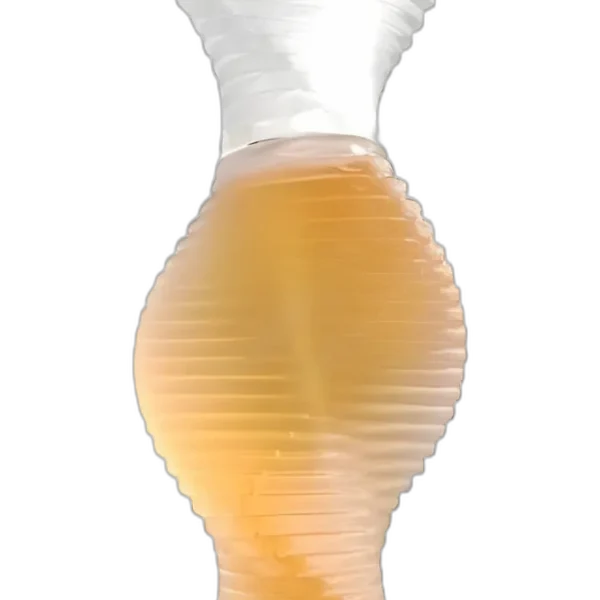 Bruno Banani Absolute Man Perfume by Bruno Banani for female UAE