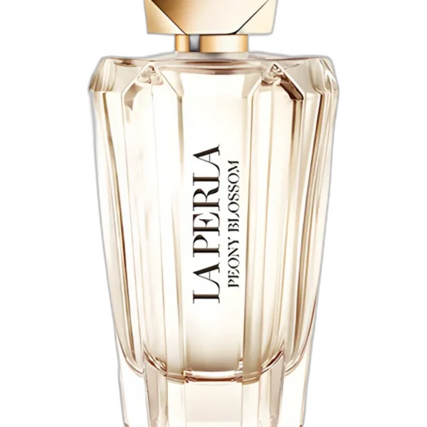 Ajmal Amaze Perfume by Ajmal for female UAE