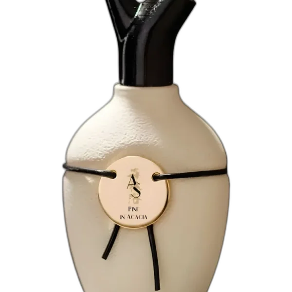 Pino Silvestre Amber Woods Perfume by Pino Silvestre for male UAE