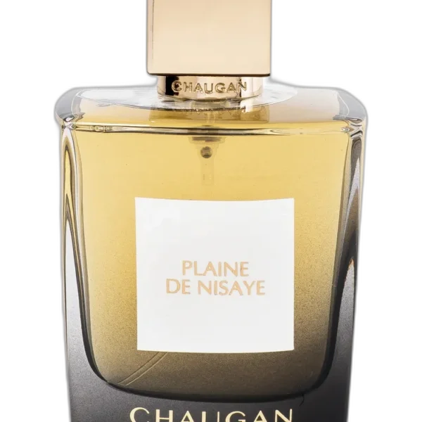 Mysterieuse Perfume by Chaugan for Unisex UAE