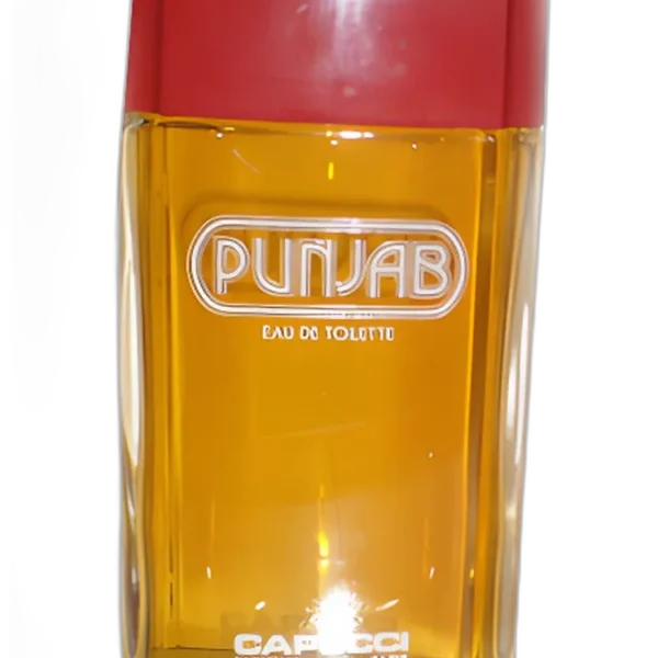 Punjab for men perfume