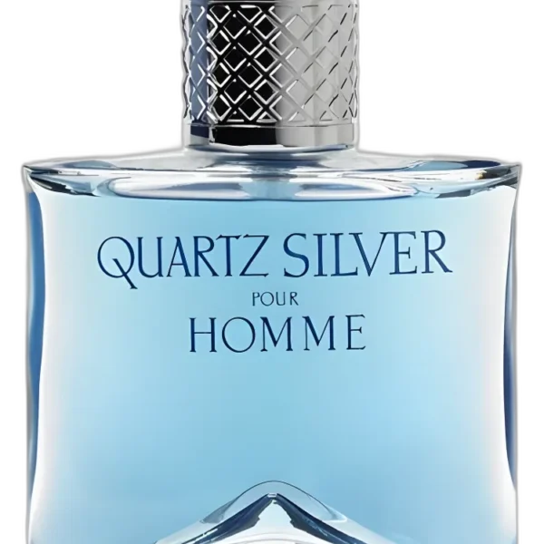 Quartz Silver for men Perfume