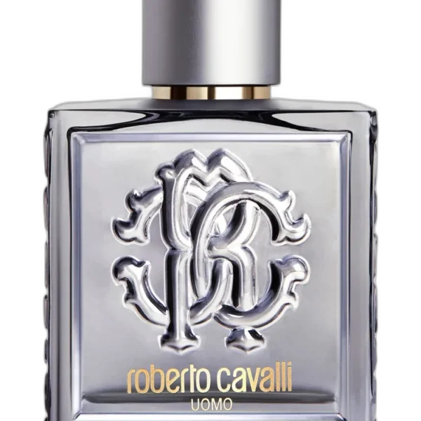 Balmain Homme Balmain Beauty Perfume by Balmain Beauty for Men UAE
