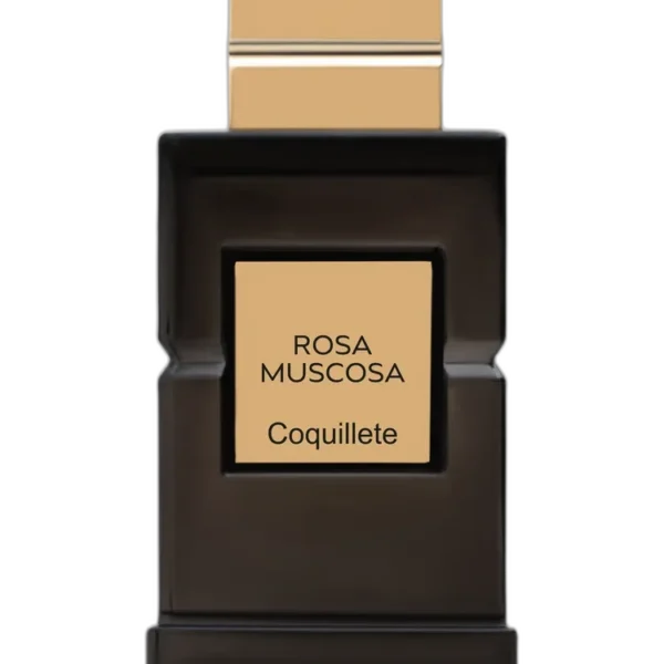 Cuiris unisex Perfume by Coquillete for unisex UAE