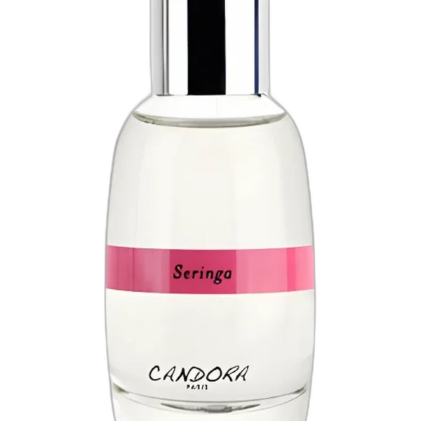 Fruits Rouges unisex Perfume by Candora for unisex UAE