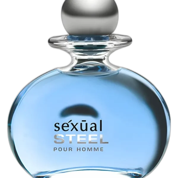 Sexual Steel Pour Homme for men Perfume