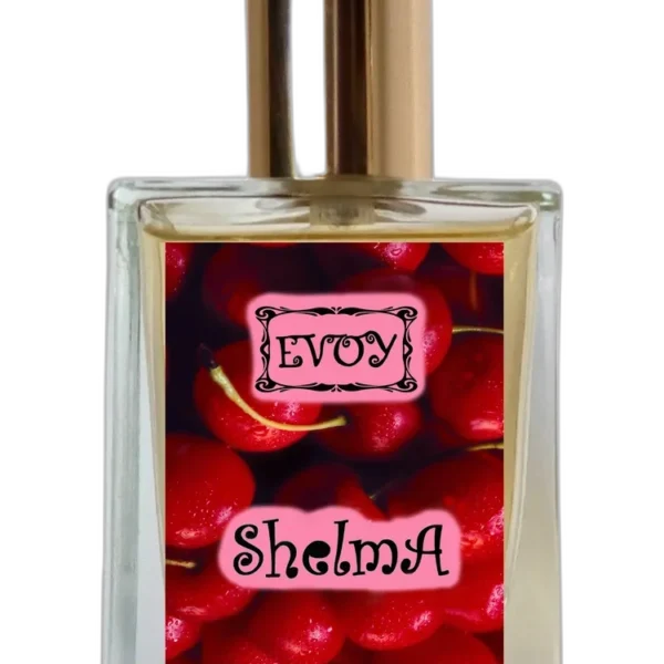 Open Mind unisex Perfume by EVOY for unisex UAE