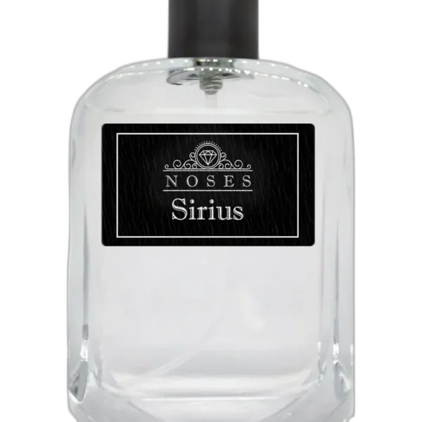City of Lights for men Perfume by Noses for male UAE