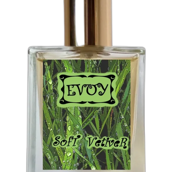 Open Mind unisex Perfume by EVOY for unisex UAE