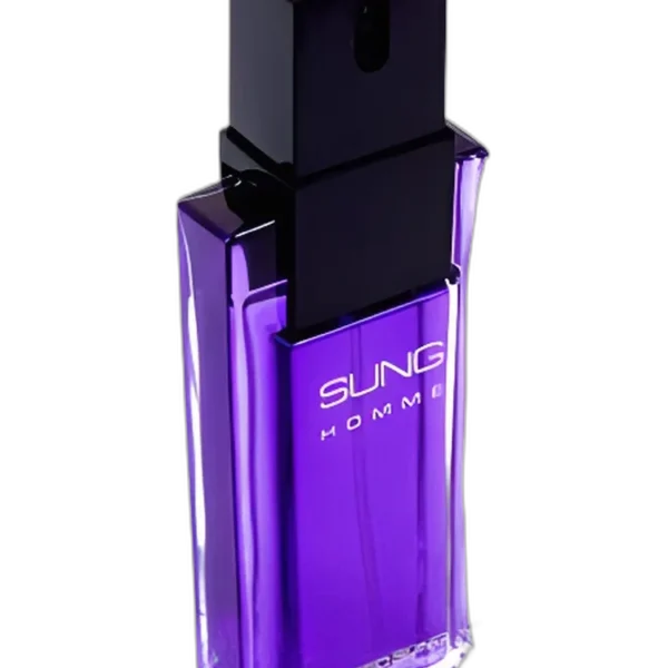 Sung Homme for men Perfume
