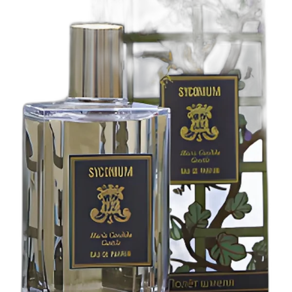 Barry Lyndon unisex Perfume by Maria Candida Gentile for unisex UAE