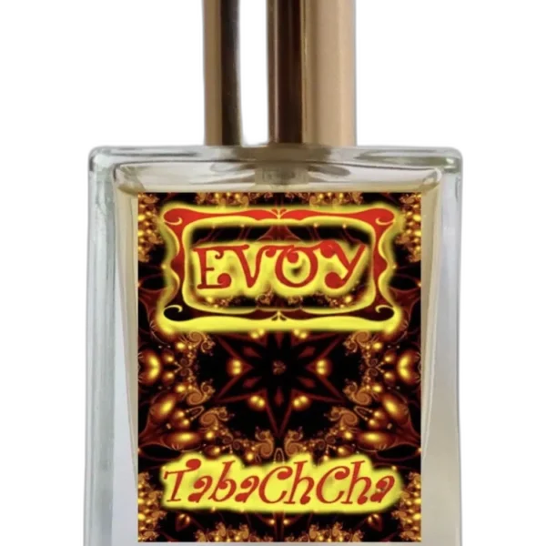 Open Mind unisex Perfume by EVOY for unisex UAE