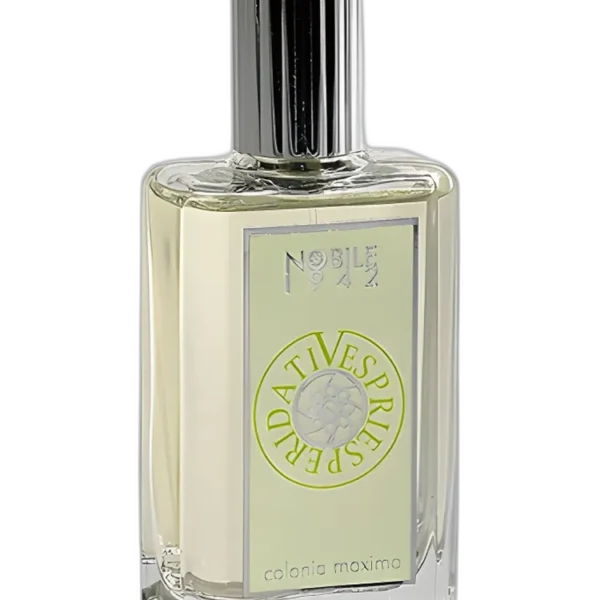 Royal Crown Rain Perfume by Royal Crown for male UAE