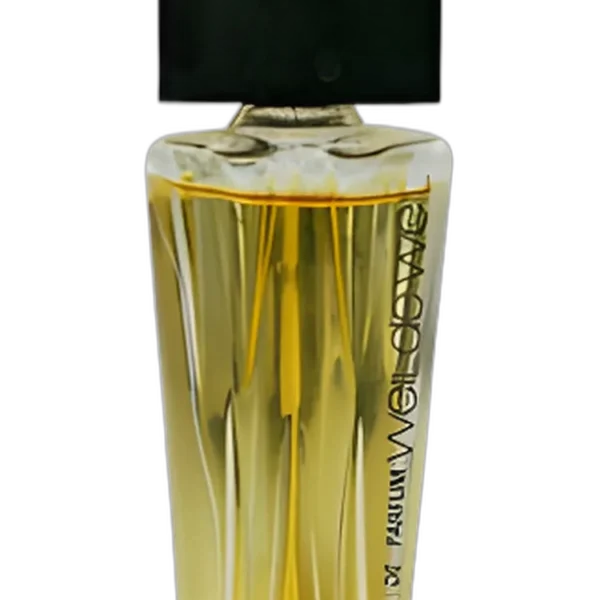 Graffiti for women Perfume by Roberto Capucci for female UAE