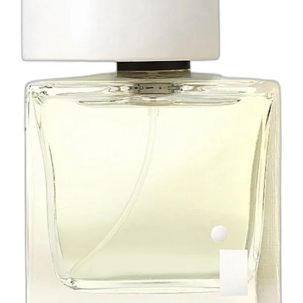 Sand & Sable Perfume by Coty for female UAE