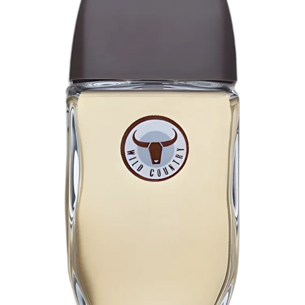 Chantilly for women Perfume by Houbigant for female UAE