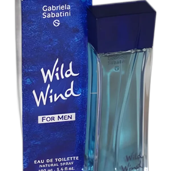 Wild Wind for Men for men Perfume