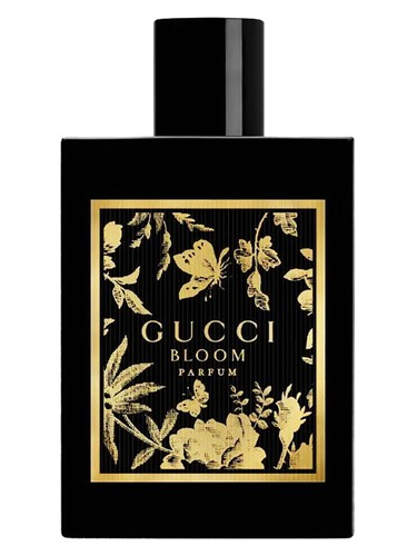 Gucci Bloom Intense Perfume by Gucci for female UAE