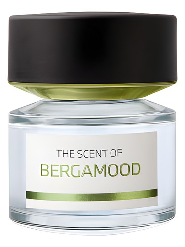 Woodness BMW Fragrances Perfume by Bmw Fragrances for Unisex UAE