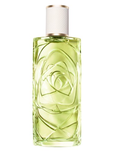 Daliflor Perfume by Salvador Dali for female UAE