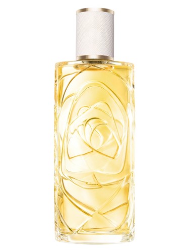 Jean Paul Gaultier Scandal Absolu Perfume by Jean Paul Gaultier for female UAE