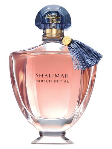 Dior Homme Intense Perfume by Dior for male UAE