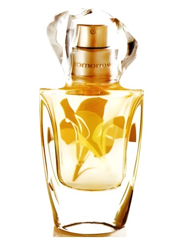 Super Playboy Perfume by Playboy for female UAE