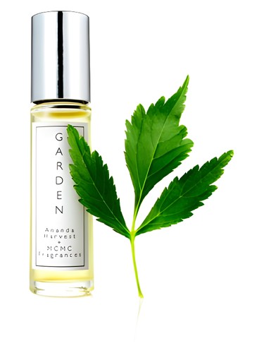 The Garden Perfume by MCMC Fragrances for Unisex UAE