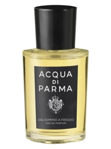 Xerjoff Accento Overdose Perfume by Xerjoff for unisex UAE