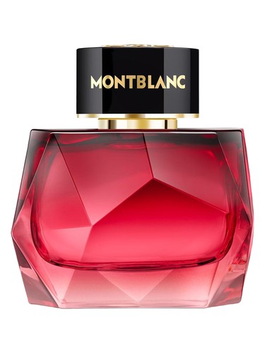 Explorer Perfume by Montblanc for Men UAE