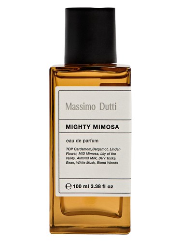 1985 Intense Massimo Dutti Perfume by Massimo Dutti for Unisex UAE