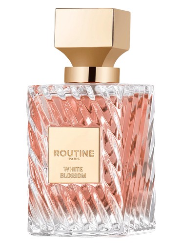 Harmonie Perfume by Routine Paris for Unisex UAE