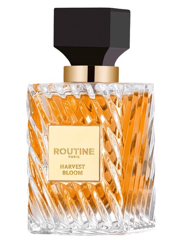 Harmonie Perfume by Routine Paris for Unisex UAE